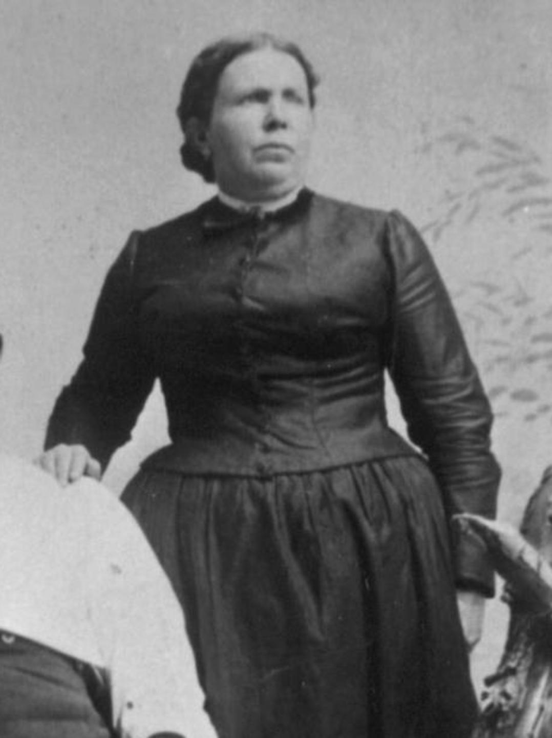 Nancy Ellen Goodwin (1841 - 1898) Profile